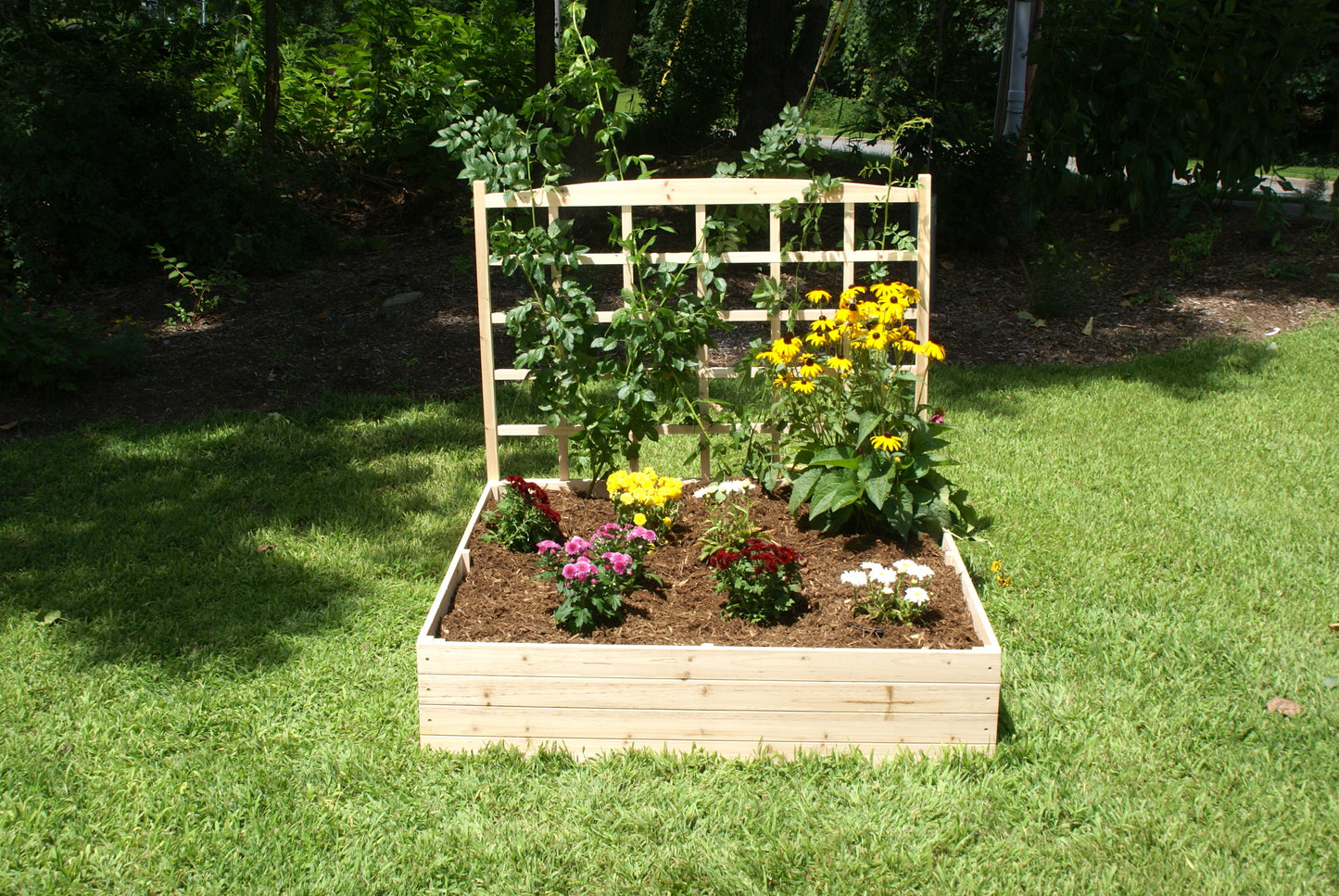 Raised Garden Bed with Trellis (4FT x 4FT x 11IN) RGB-4411-T